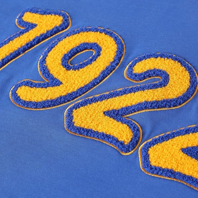 Chenille Embroidery